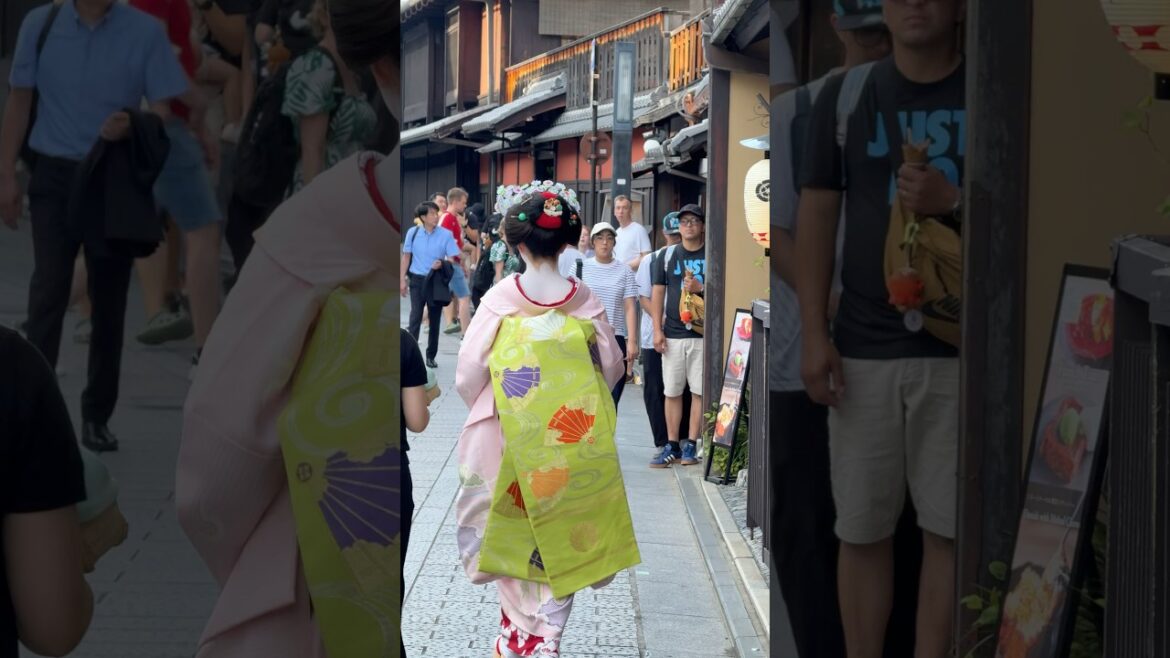 Dream Come True in Kyoto ππ―π΅ | Foreign Tourists Shocked by Real Maiko & Geisha Walking in Gion! Dream Come True in Kyoto ππ―π΅ | Foreign Tourists Shocked by Real Maiko & Geisha Walking in Gion!
