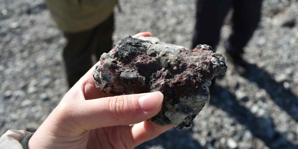 Rare-earth costs surge over 20% for Japanese firms, survey shows Rare-earth costs surge over 20% for Japanese firms, survey shows