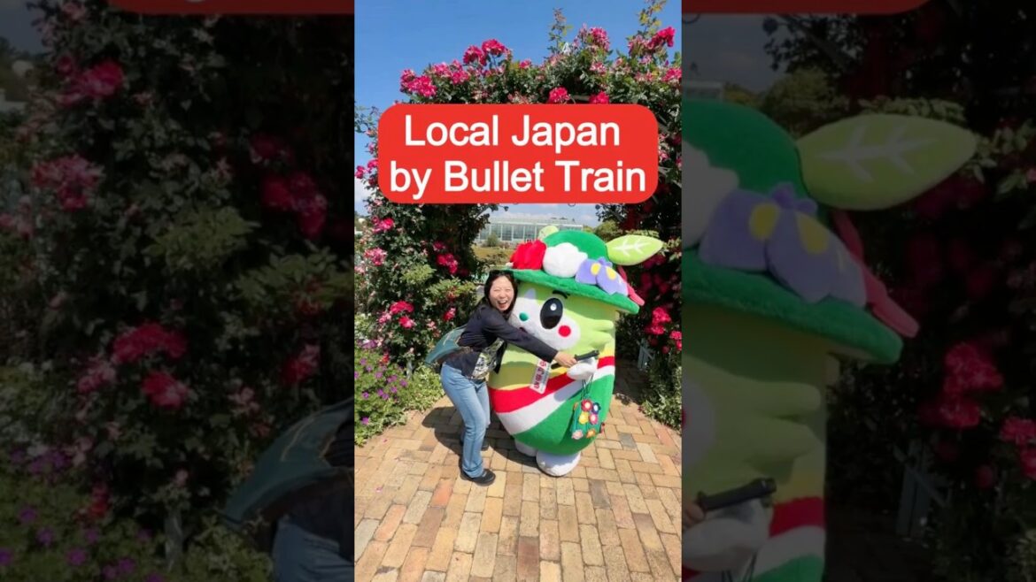 Shizuoka Local Shinkansen Itinerary🗻🚄 #japantrip #japantravel #kodama #vlogjapan Shizuoka Local Shinkansen Itinerary🗻🚄 #japantrip #japantravel #kodama #vlogjapan