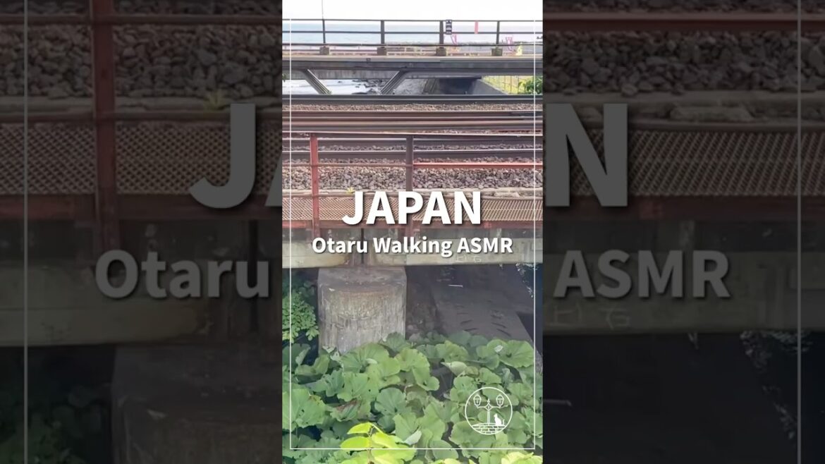 Japan Walking Tour in Otaru, Hokkaido | Quiet Morning at Zenibako Station #Shorts