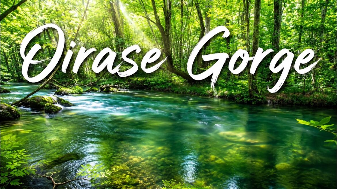 Oirase Gorge Walking Tour 🚶 | Japan's Most Beautiful Forest Stream 🌿 | Aomori, Japan【4K POV】