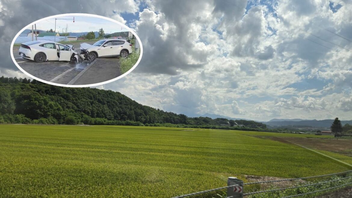 53-year-old HK woman dies after head-on crash in Hokkaido logo