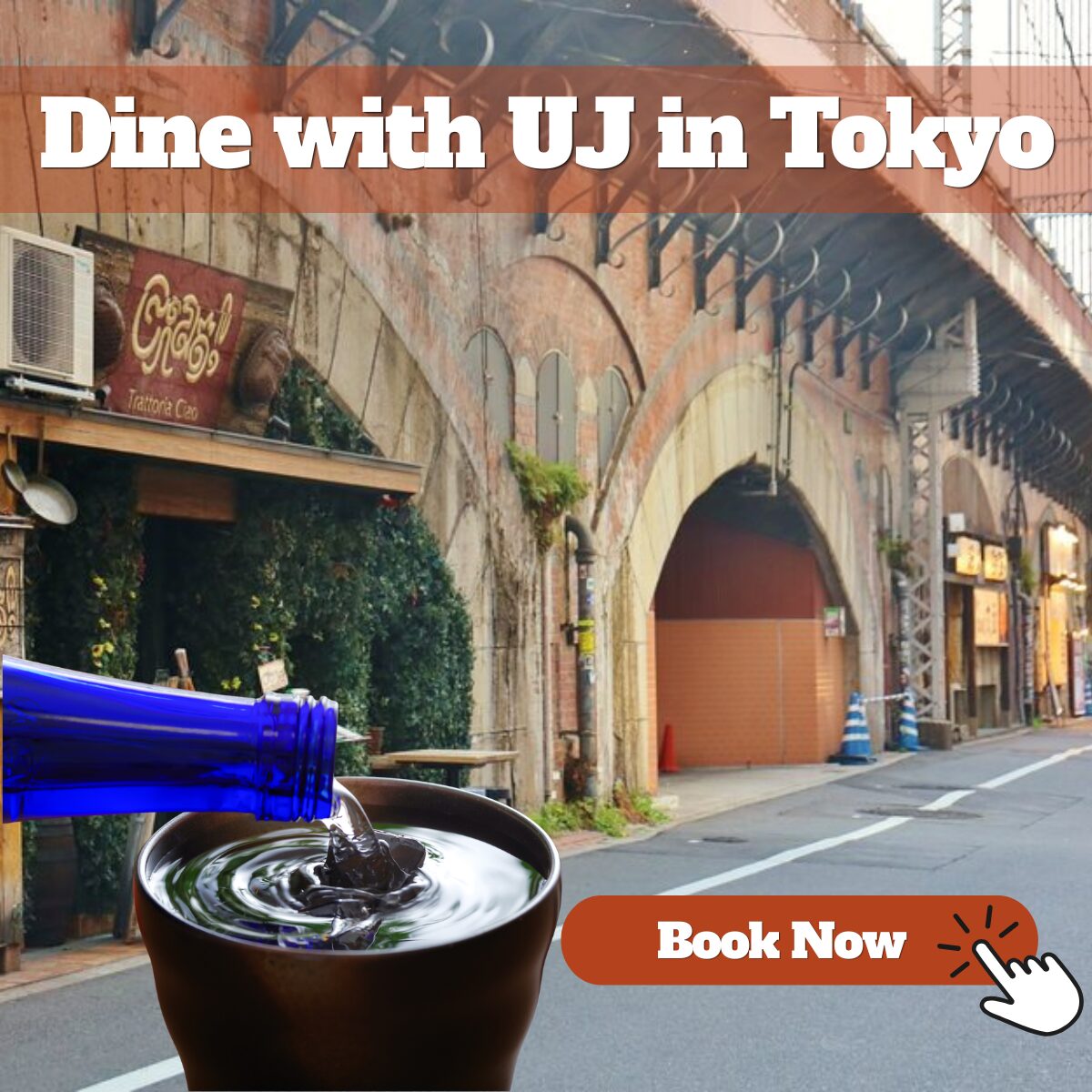 Dine with UJ in Tokyo: book an evening food tour under the Yūrakuchō railway arches