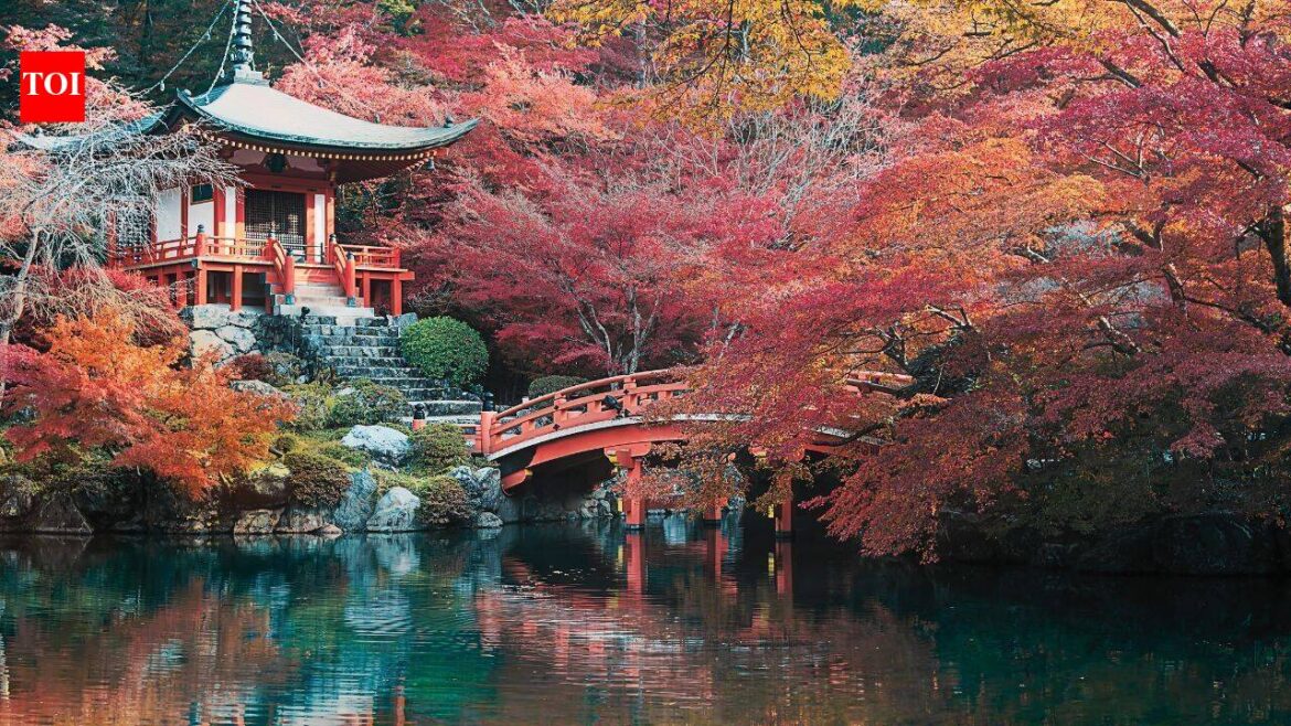 Indian Railways launches 10-day Japan tour from Delhi; package includes bullet train ride, Mt Fuji and Hiroshima from ₹3.46 lakh | Indian Railways launches 10-day Japan tour from Delhi; package includes bullet train ride, Mt Fuji and Hiroshima from ₹3.46 lakh |
