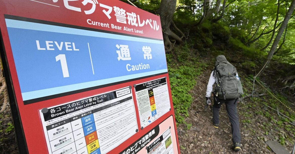 Climber traffic falls 30% in Japan’s bear-hit Hokkaido, Tohoku Climber traffic falls 30% in Japan's bear-hit Hokkaido, Tohoku
