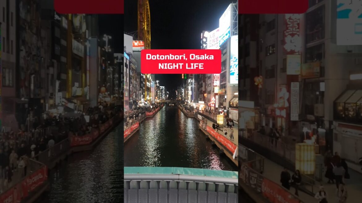 OSAKA NIGHT LIFE | Dotonbori 🏙😮 #shorts #osaka #japan #travelshorts #shortsfeed #ytshorts #short OSAKA NIGHT LIFE | Dotonbori 🏙😮 #shorts #osaka #japan #travelshorts #shortsfeed #ytshorts #short
