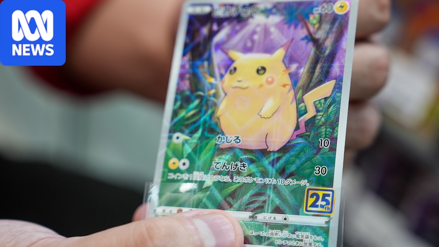 Japan considers crackdown on Pokémon cards as ‘skyrocketing’ interest sparks crime fears Japan considers crackdown on Pokémon cards as 'skyrocketing' interest sparks crime fears