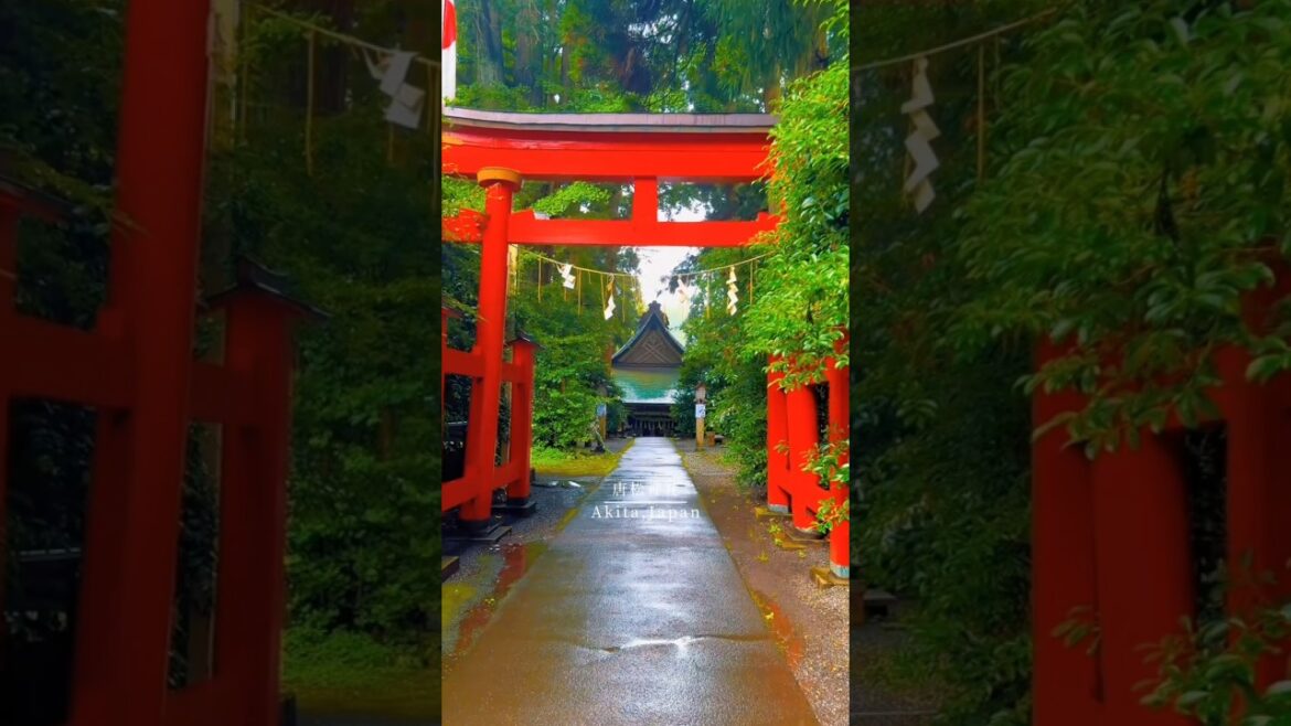 Akita Karamatso Shrine 📍The most beautiful places in Japan #akita #shrine #japan #japaneseprefecture