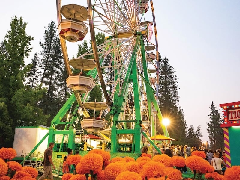Fairs and Festivals to wrap up summer with a blast Fairs and Festivals to wrap up summer with a blast