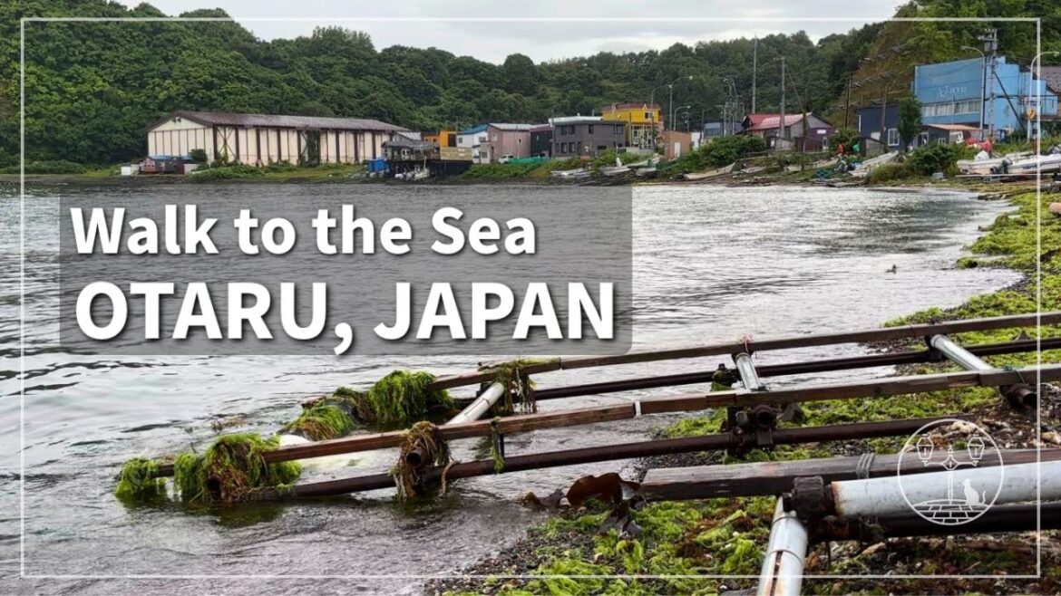 Japan Walking Tour in Otaru, Hokkaido | Morning Walk from Nishin Goten to Shukutsu Beach Japan Walking Tour in Otaru, Hokkaido | Morning Walk from Nishin Goten to Shukutsu Beach