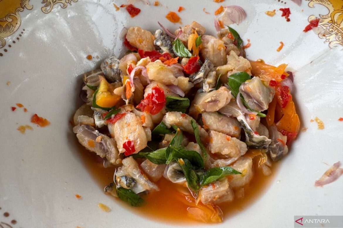 The salty sashimi of Banda Sea: A journey through inasua history The salty sashimi of Banda Sea: A journey through inasua history