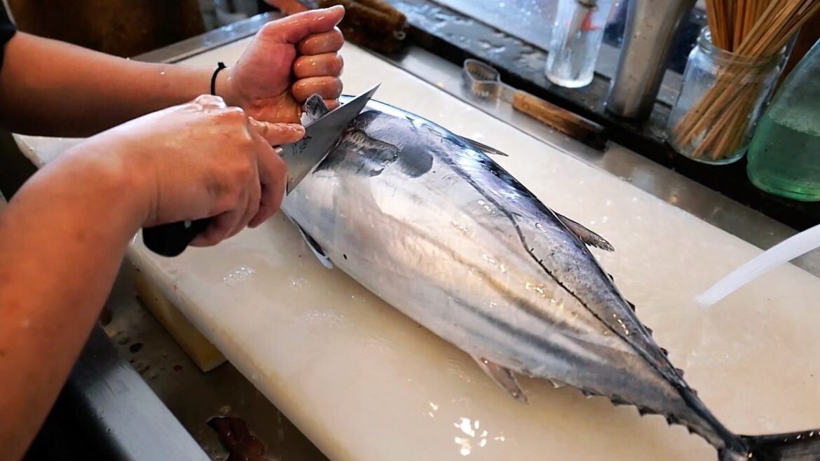 Japanese Street Food - The BEST SASHIMI LUNCH SETS in Kochi! Seafood Japan