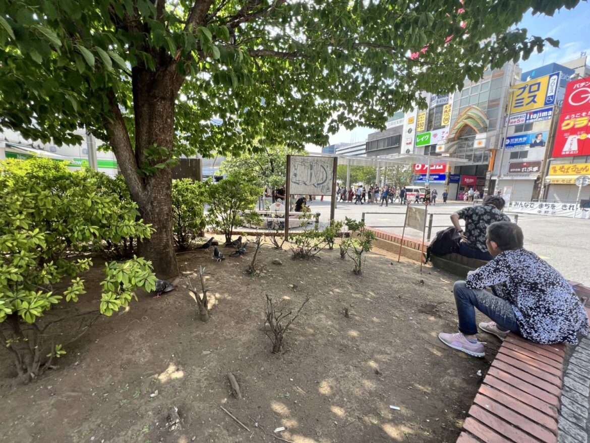 As Japan’s concrete jungles sizzle, urban forestry offers an all-natural fix As Japan’s concrete jungles sizzle, urban forestry offers an all-natural fix