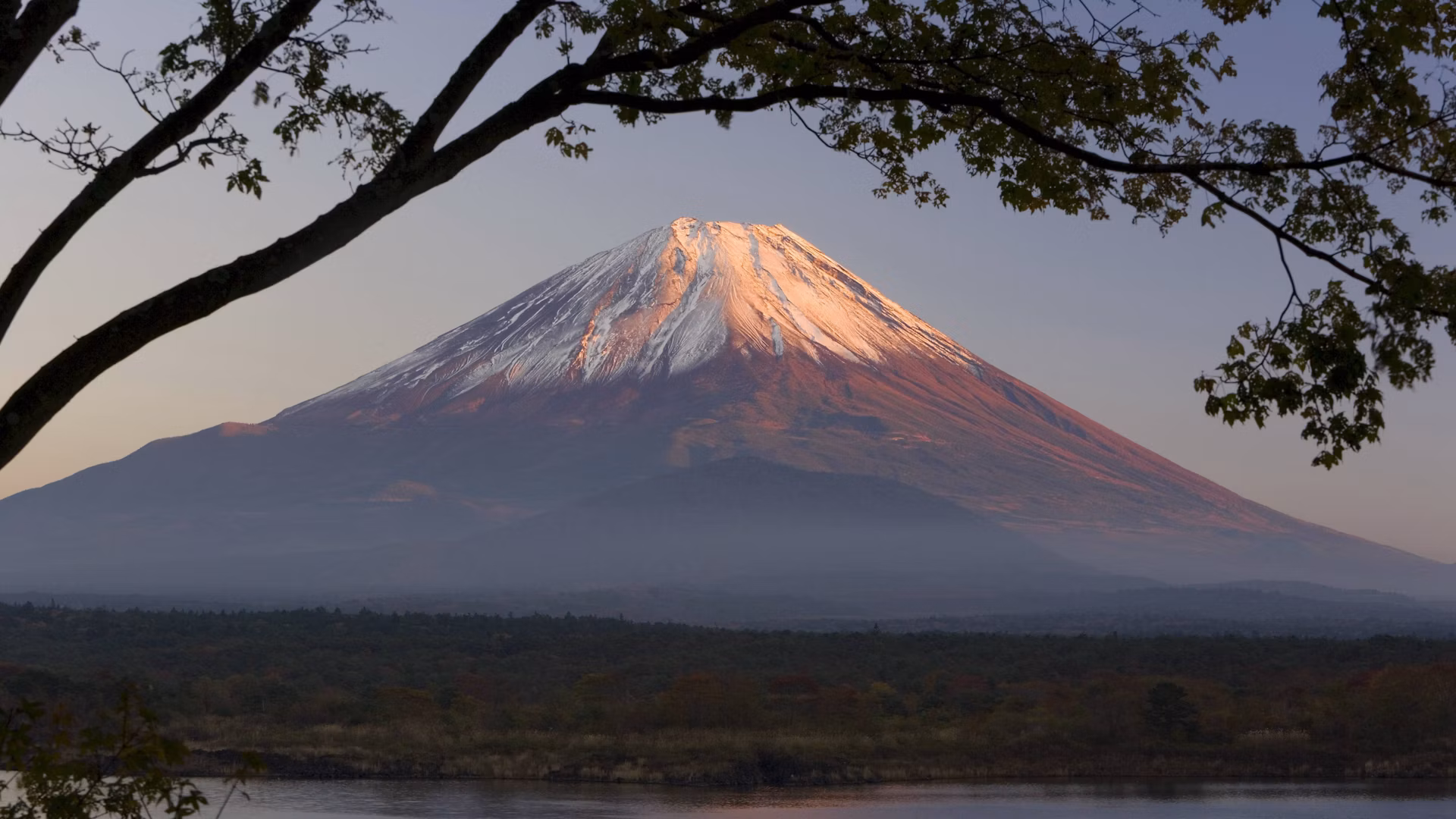 A seven-year-old boy was left behind by his father while hiking on Mount Fuji.