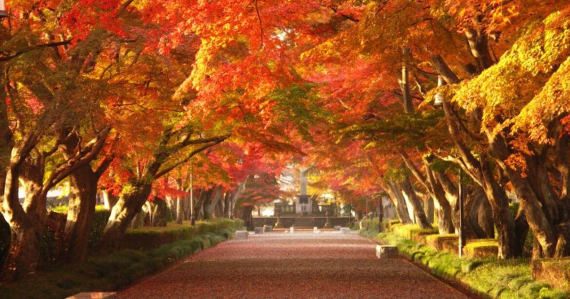 A guide to Tochigi Prefecture, Japan: Places to visit and things to do, Lifestyle News A guide to Tochigi Prefecture, Japan: Places to visit and things to do, Lifestyle News