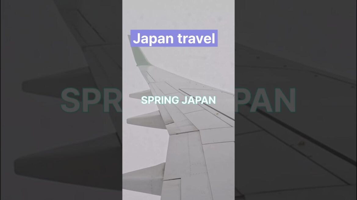 【Japan travel】NEW Flight Route from Tokyo to Hakodate 🇯🇵 【Japan travel】NEW Flight Route from Tokyo to Hakodate 🇯🇵