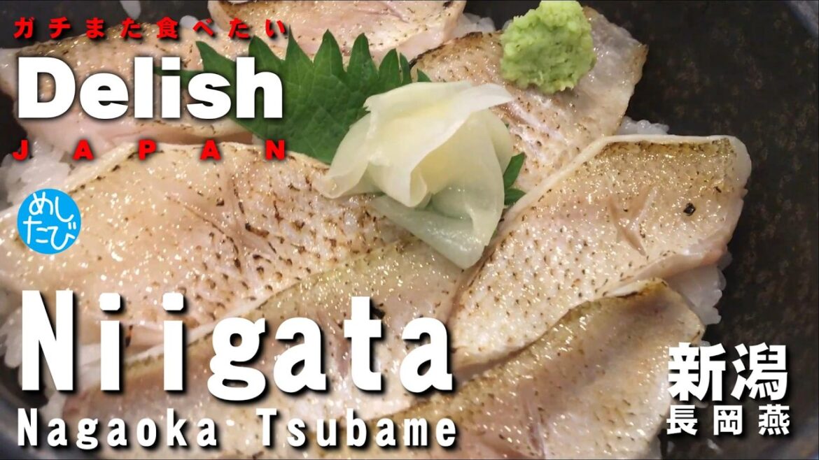 新潟長岡燕界隈★ガチまた食べたいS-6※110 Available in 15 languages. 新潟長岡燕界隈★ガチまた食べたいS-6※110 Available in 15 languages.