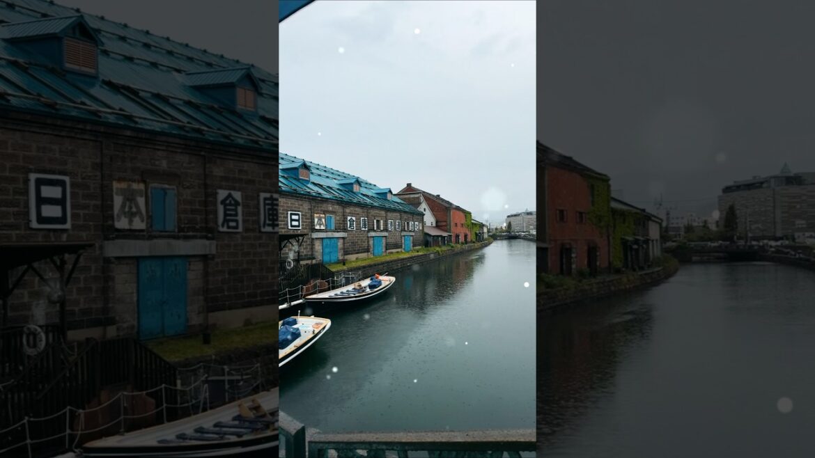 What to Eat in Otaru Japan ð Canal Views, Ramen & Zangi What to Eat in Otaru Japan ð Canal Views, Ramen & Zangi