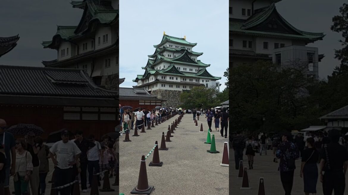 SP12. Places in Nagoya🇯🇵 that Feel Like Different | Day 10 SP12. Places in Nagoya🇯🇵 that Feel Like Different | Day 10