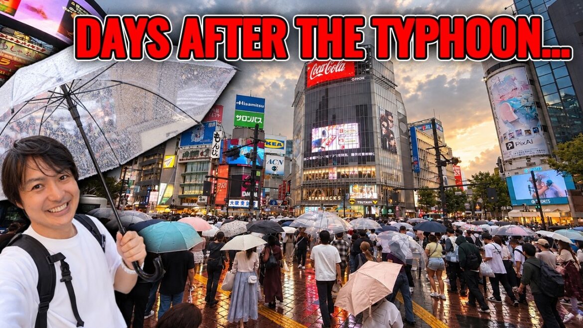 Tokyo Is PACKED Again 🇯🇵 What Happened After the Typhoon?