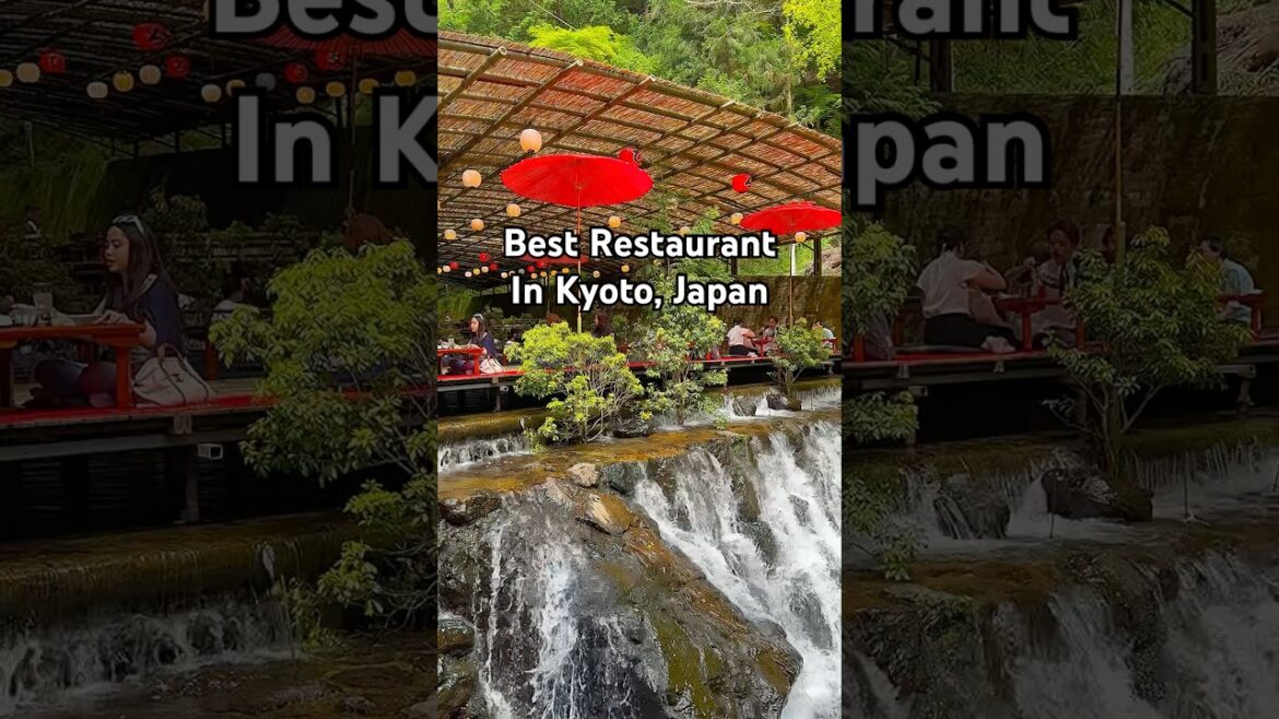 Best restaurant in Kyoto, Japan! #kyotofood  #kyototravel #kyotogourmet #kyotojapan #japanfood