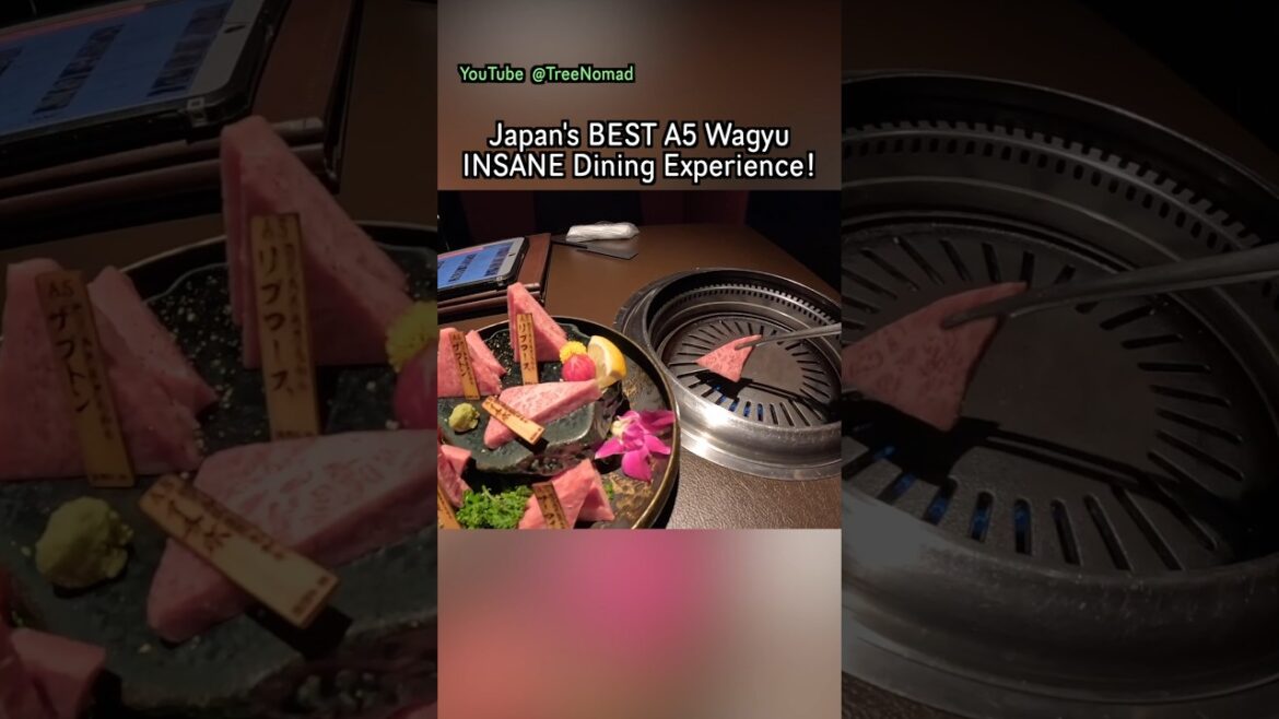 Japan's BEST A5 Wagyu - INSANE Dining Experience! 😋🇯🇵 #japan #kagoshima #wagyu #travel #short‬