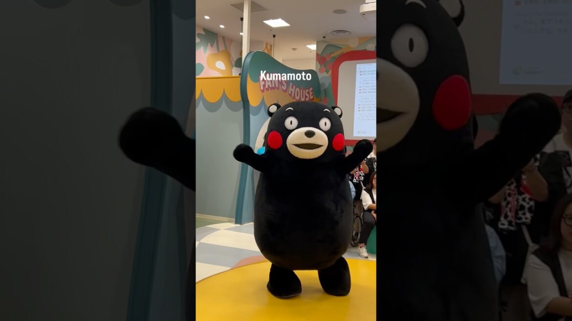 Kumamoto: Castles, Nature & Kumamon Kumamoto: Castles, Nature & Kumamon