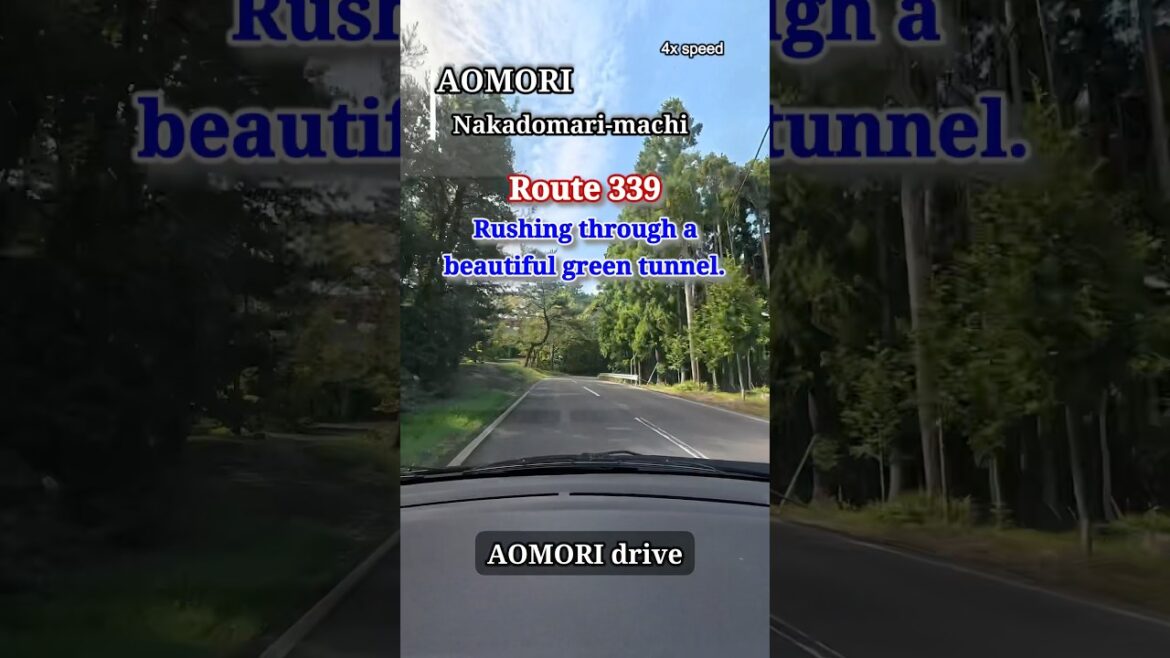 AOMORI: Rushing Through a Beautiful Green Tunnel on Route 339