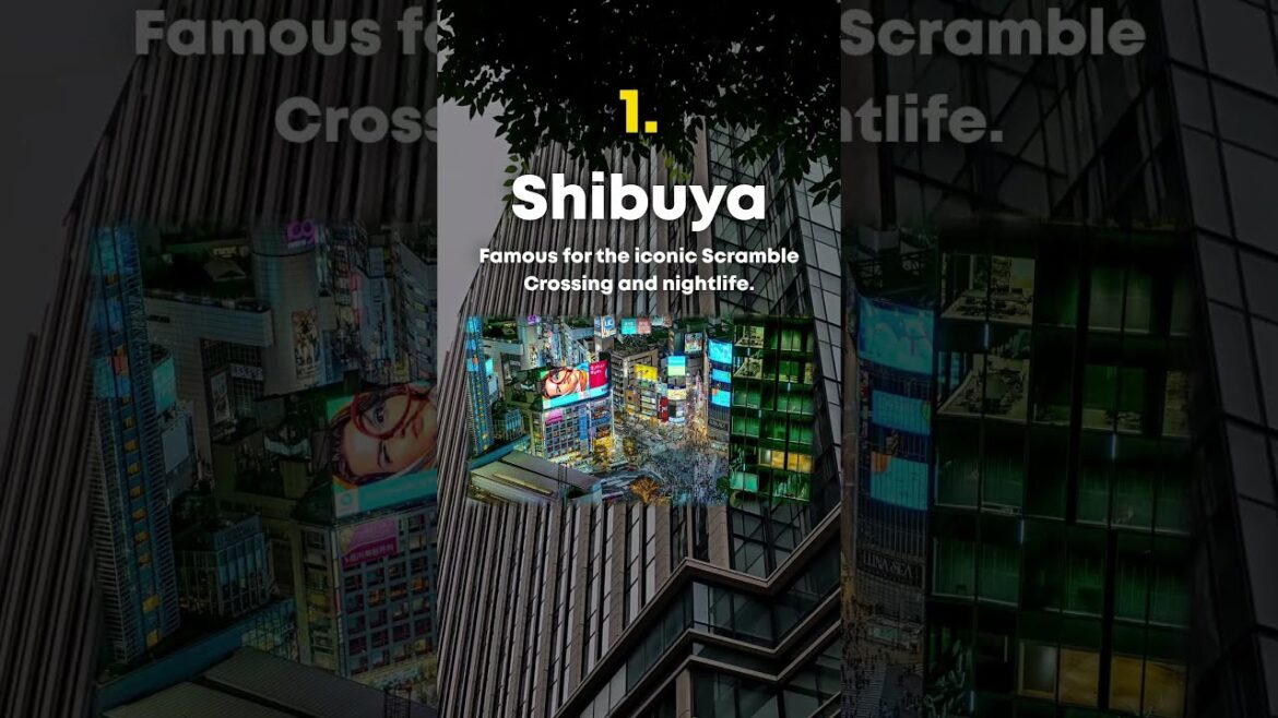 Top 5 Tokyo Neighborhoods You CANNOT Miss ⛩️