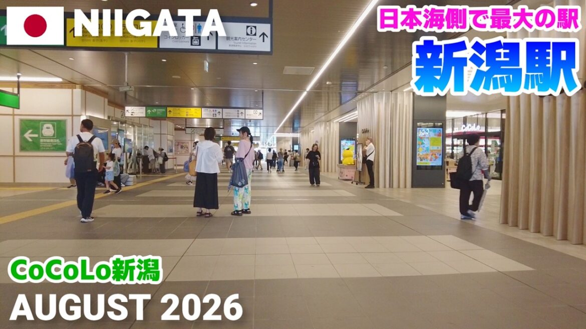 【新潟】JR新潟駅を歩く2026 日本海側で最大の駅! CoCoLo新潟など Walking around Niigata Station, Niigata, Japan 【新潟】JR新潟駅を歩く2026 日本海側で最大の駅! CoCoLo新潟など Walking around Niigata Station, Niigata, Japan