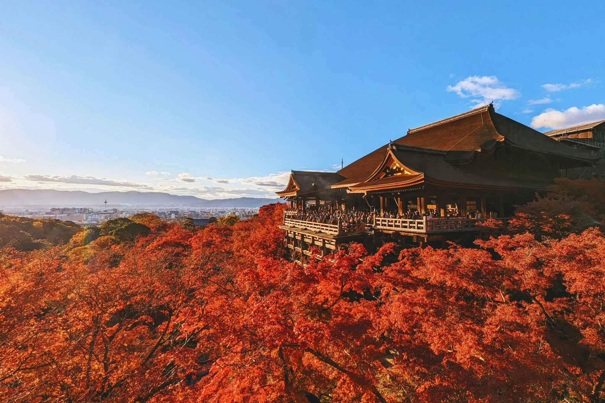 From Tokyo To Kyoto: 8 Best Places To See Japan’s Autumn Foliage From Tokyo To Kyoto: 8 Best Places To See Japan’s Autumn Foliage