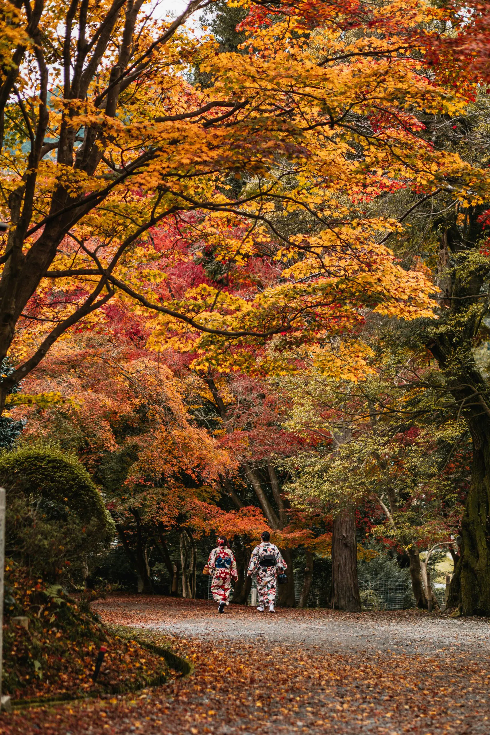 From Tokyo To Kyoto: 8 Best Places To See Japan’s Autumn Foliage From Tokyo To Kyoto: 8 Best Places To See Japan’s Autumn Foliage