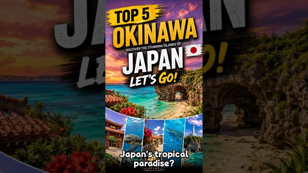 Top 5 Must-Visit Places in Okinawa #travel #5places #top5 #treasuresearch Top 5 Must-Visit Places in Okinawa #travel #5places #top5 #treasuresearch