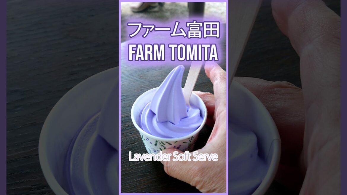 夏の富良野で絶対に外せない！ファーム富田の名物ラベンダーソフトの件 Lavender Soft Serve at Farm Tomita