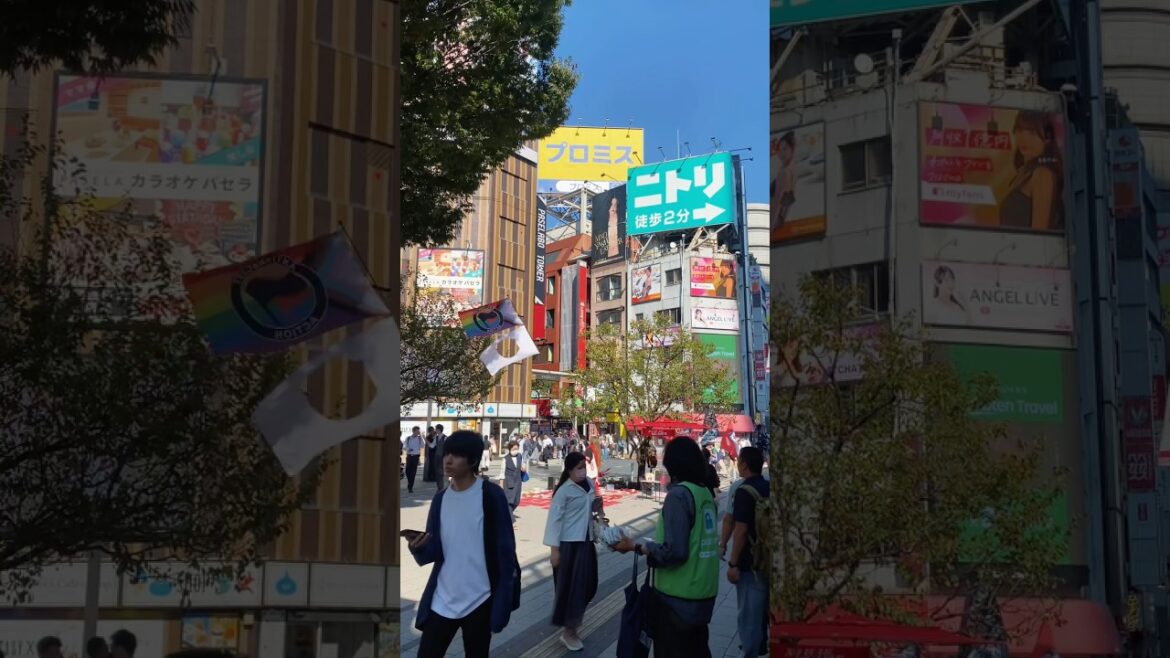 Shinjuku city 🇯🇵Tokyo #shorts #tokyo #japan