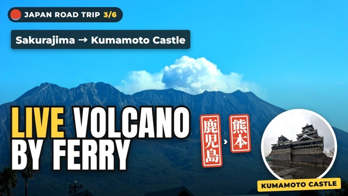 Sakurajima, Dolphins & Kumamoto Castle | Japan Road Trip 3/6 Sakurajima, Dolphins & Kumamoto Castle | Japan Road Trip 3/6
