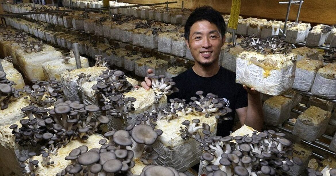 ‘What defines garbage?’: Kyoto farmer grows mushrooms from used coffee grounds 'What defines garbage?': Kyoto farmer grows mushrooms from used coffee grounds