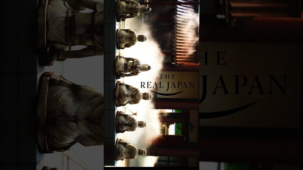 Japan from a different angle #japan #japantravel #travel