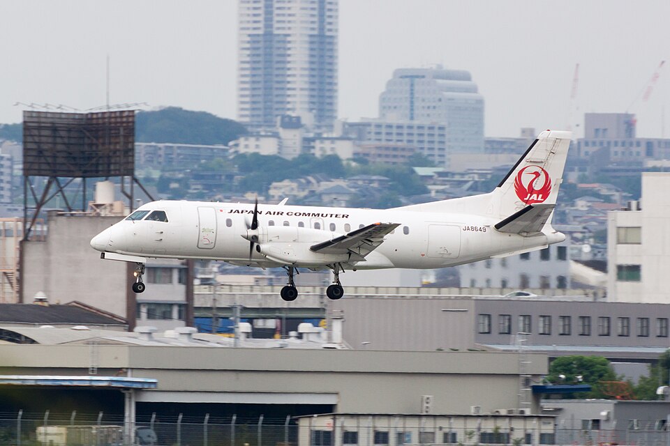 Live snake found under plane carpet forces flight cancellation in Japan parallax background