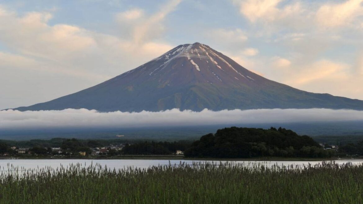 Taiwanese woman found dead in Mount Fuji hotel was daughter of air rescue chief, suspect linked to fraud group logo