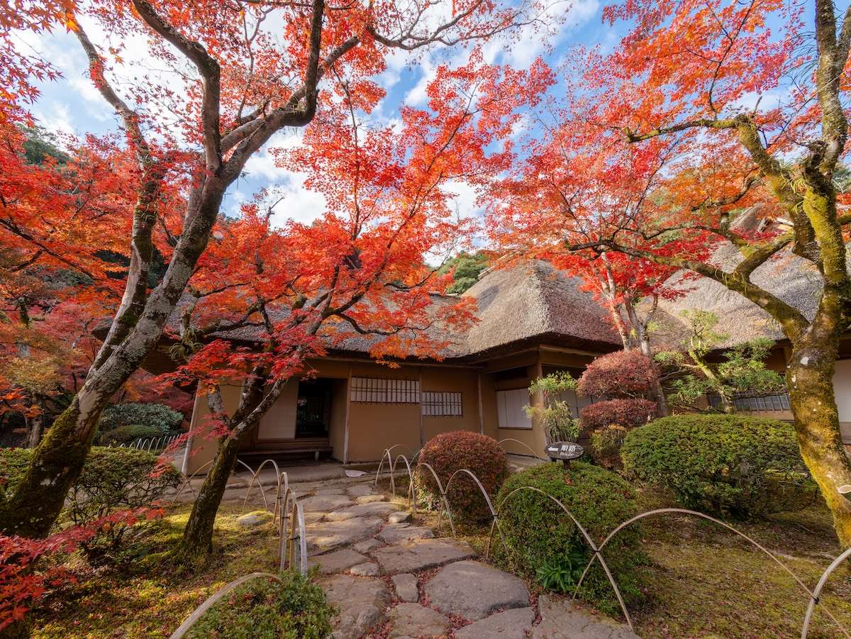 The maple trees and moss-covered garden of Kunenan create a beautiful contrast of autumn reds and deep greens